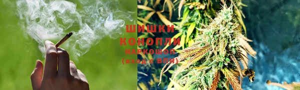 дмт Арсеньев