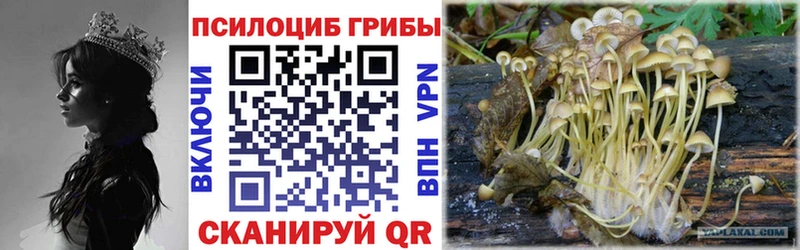 Купить где  Сергач  Галлюциногенные грибы мухоморы 